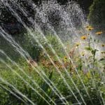 arrosage automatique dans un jardin