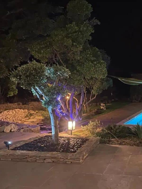 éclairage de nuit jardin aménagé par un paysagiste