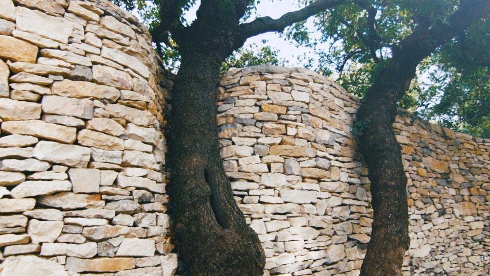 mur en pierre sèche construit autour des arbres